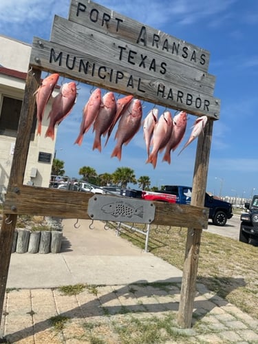 Port A  Deep Sea Reel Fisher In Port Aransas