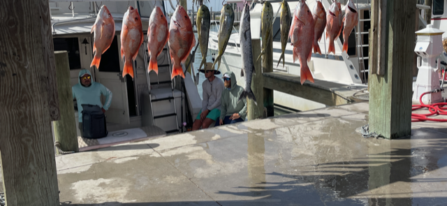 Port A  Deep Sea Reel Fisher In Port Aransas