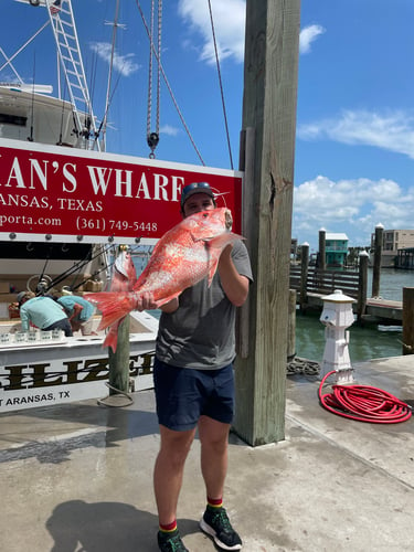 Port A  Deep Sea Reel Fisher In Port Aransas