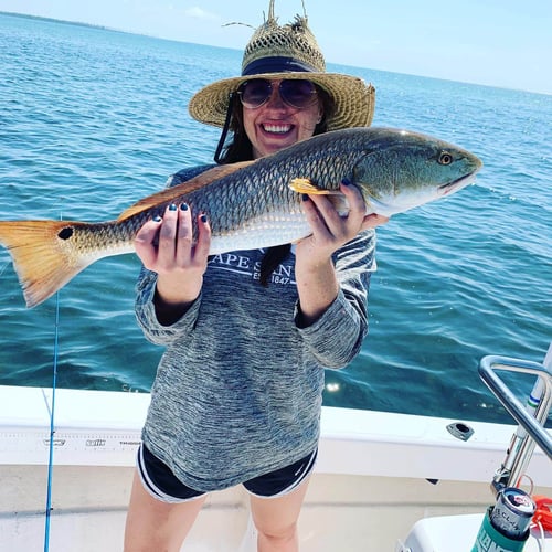 Inshore Redfish Whacker In Port St. Joe