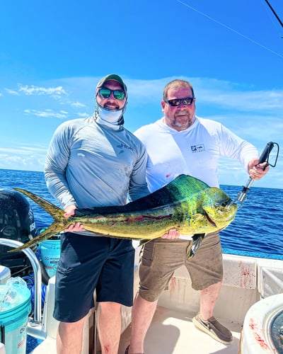 Keys Offshore Fishing Adventure In Islamorada