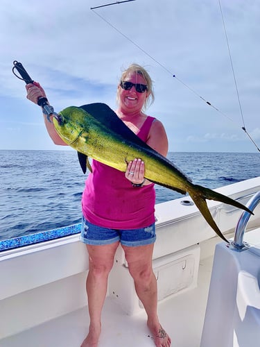 Keys Offshore Fishing Adventure In Islamorada