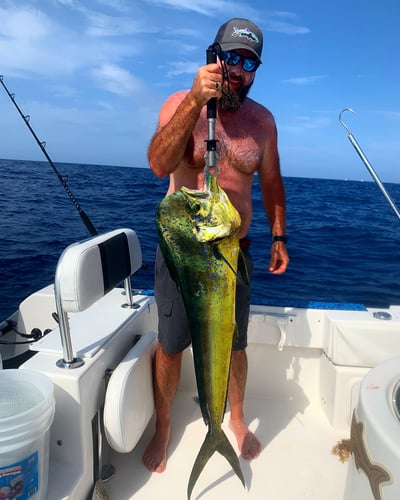 Keys Offshore Fishing Adventure In Islamorada