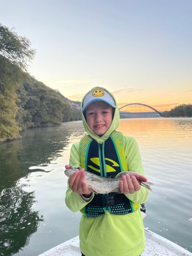 Lake Austin Kid Focused Fishing In Austin