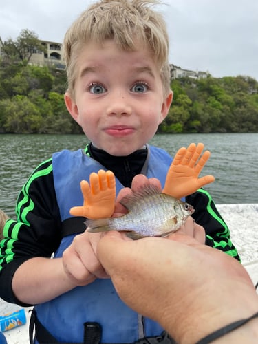 Lake Austin Kid Focused Fishing In Austin