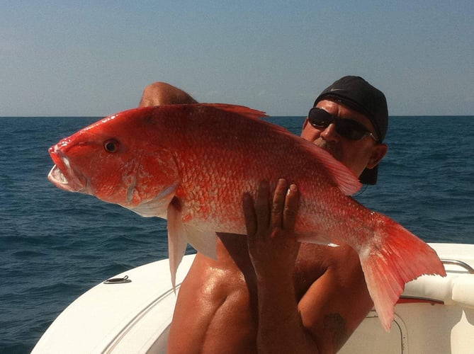 Full Day Offshore - 36' Contender in Port O'Connor
