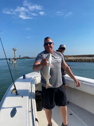 Full Day Offshore - 36' Contender in Port O'Connor
