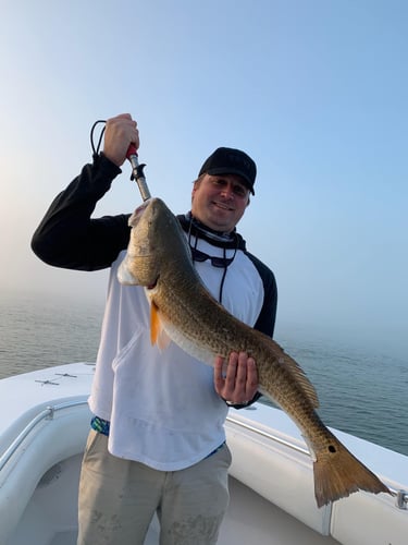 Full Day Offshore - 36' Contender in Port O'Connor