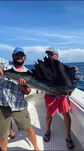 Full Day Offshore - 36' Contender in Port O'Connor