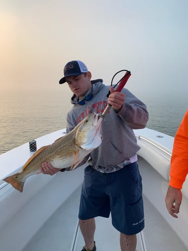 Full Day Offshore - 36' Contender in Port O'Connor
