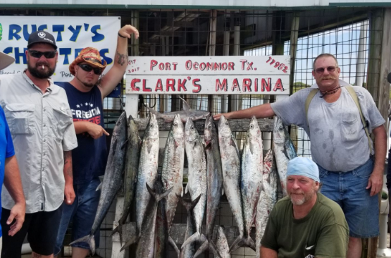 Full Day Offshore - 36' Contender In Port O'Connor