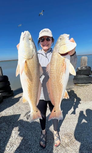 Nueces Bay "Texas Trio" In Corpus Christi