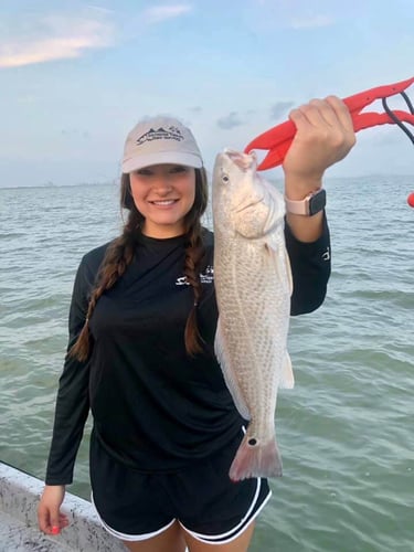 Nueces Bay "Texas Trio" In Corpus Christi