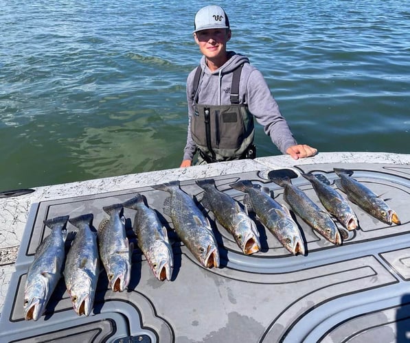 Nueces Bay "Texas Trio" In Corpus Christi