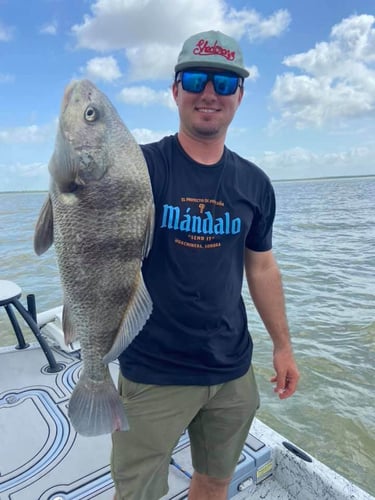 Nueces Bay "Texas Trio" In Corpus Christi