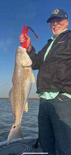 Nueces Bay "Texas Trio" In Corpus Christi