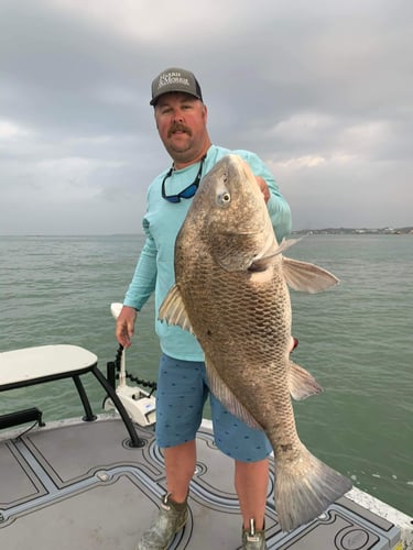 Nueces Bay "Texas Trio" In Corpus Christi