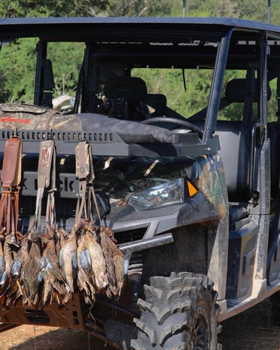 Coastal Bend Duck Assault In Corpus Christi