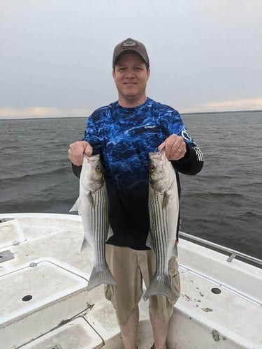 Weekends Chasing Stripers In Lake Whitney