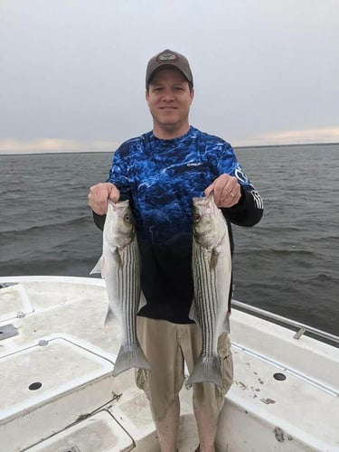 Striper Fishing Lake Whitney In Lake Whitney