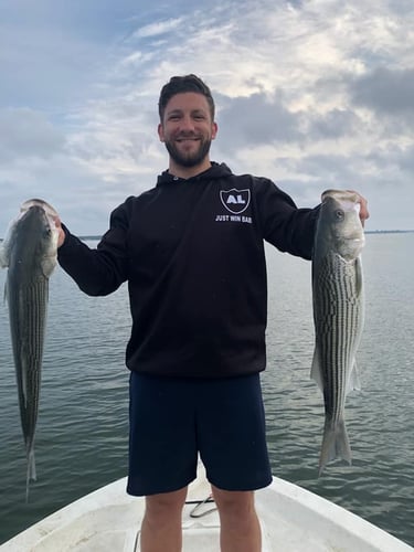 Striper Fishing Lake Whitney In Lake Whitney