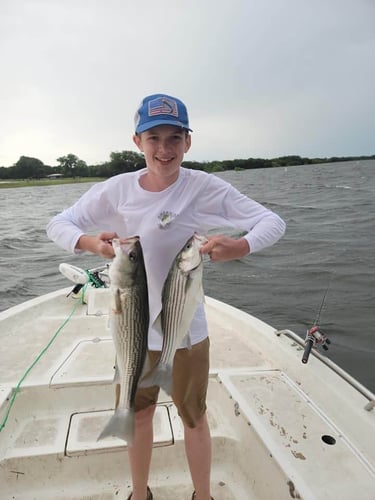 Striper Fishing Lake Whitney In Lake Whitney