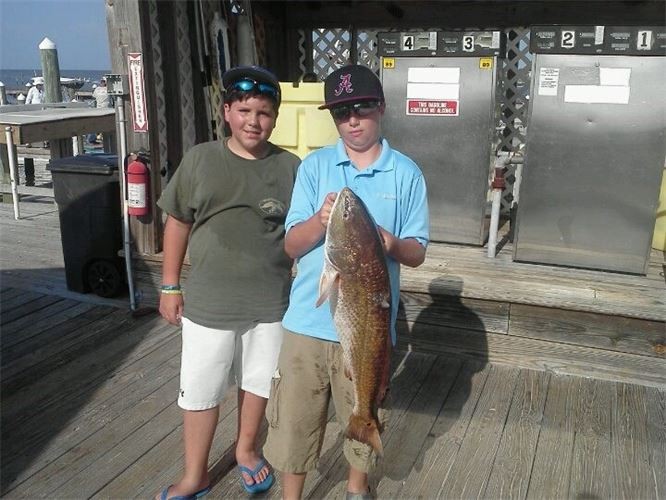 Orange Beach Catch In Gulf Shores