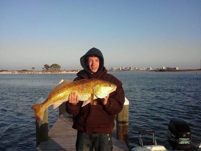 Orange Beach Catch In Gulf Shores