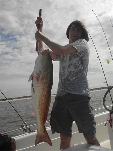 Catch Another in Orange Beach- 24' Fish Master