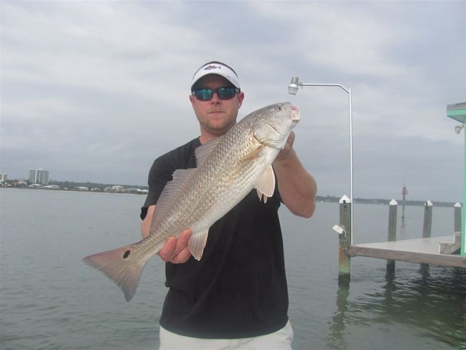 Orange Beach Catch In Gulf Shores