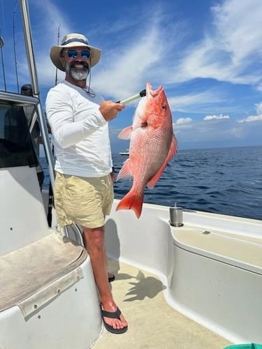 Half Day PCB Trip - 24' SeaPro In Panama City Beach