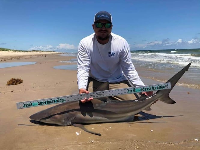 Afternoon Surf Fishing For Sharks In Corpus Christi