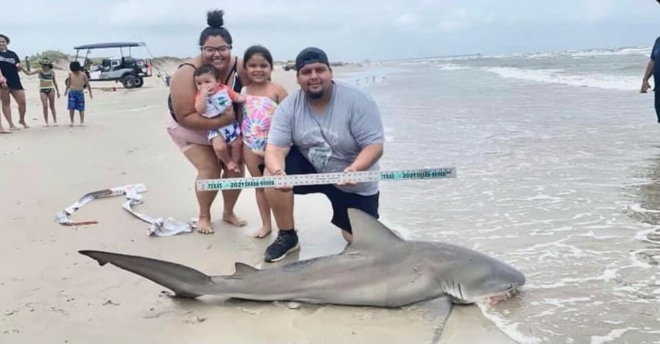 Evening Surf Fishing For Sharks In Corpus Christi