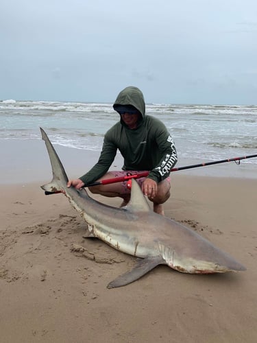 Evening Surf Fishing For Sharks In Corpus Christi