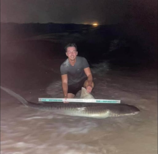 Evening Surf Fishing For Sharks In Corpus Christi