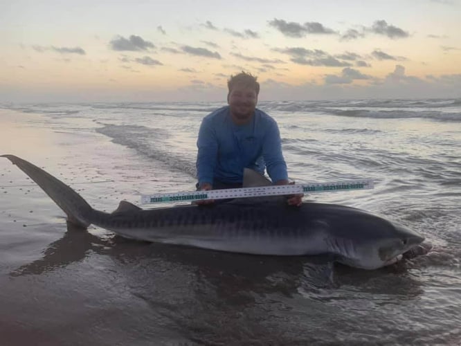 Evening Surf Fishing For Sharks In Corpus Christi