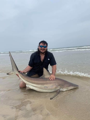 Afternoon Surf Fishing For Sharks In Corpus Christi
