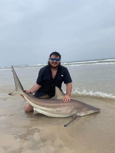 Evening Surf Fishing For Sharks In Corpus Christi