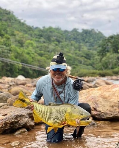 Bolivian Amazon Golden Dorado In Santa Cruz De La Sierra