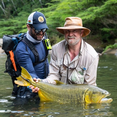 Bolivian Amazon Golden Dorado In Santa Cruz De La Sierra