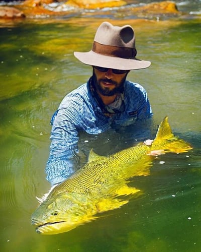 Bolivian Amazon Golden Dorado In Santa Cruz De La Sierra