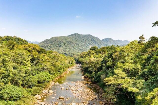 Premier Bolivian Flyfishing in Santa Cruz