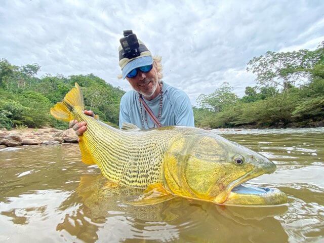 Bolivian Amazon Golden Dorado In Santa Cruz De La Sierra