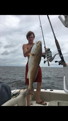 Biloxi Inshore Outing in Biloxi