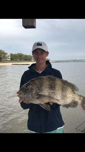 Biloxi Inshore Outing in Biloxi