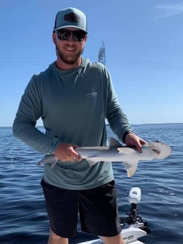 4-Hour Shark Roundup in Panama City Beach