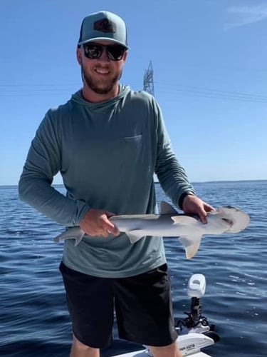 Half Day Shark Roundup In Panama City