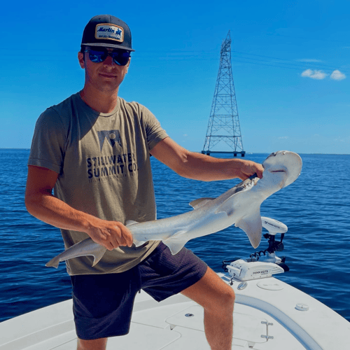 Half Day Shark Roundup In Panama City