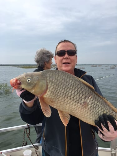 Full Day Or 1/2 Day Fishing Trip In Zapata