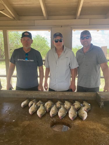 Full Day Or 1/2 Day Fishing Trip In Zapata